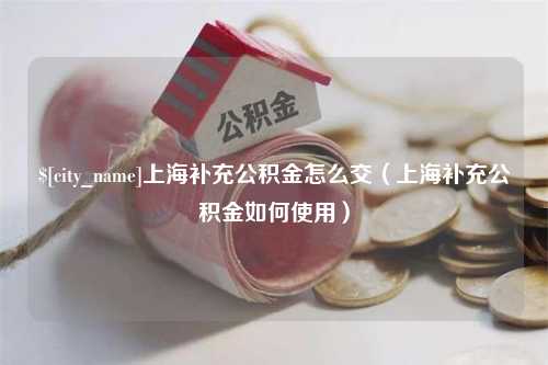 霍邱上海补充公积金怎么交（上海补充公积金如何使用）